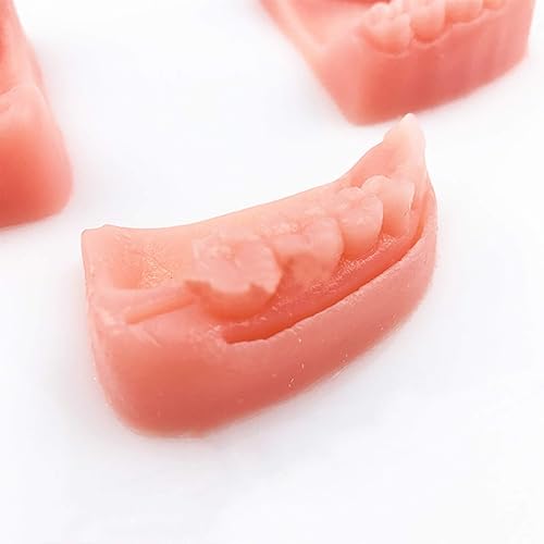 Miniatura 7 de Kit de práctica de sutura, kit de sutura oral para entrenamiento de sutura para dental, 21 piezas que incluye silicona suave biónica oral múltiples