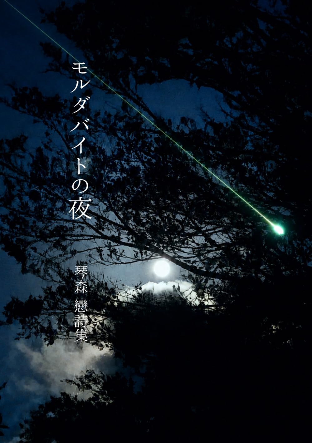 モルダバイトの夜―詩集