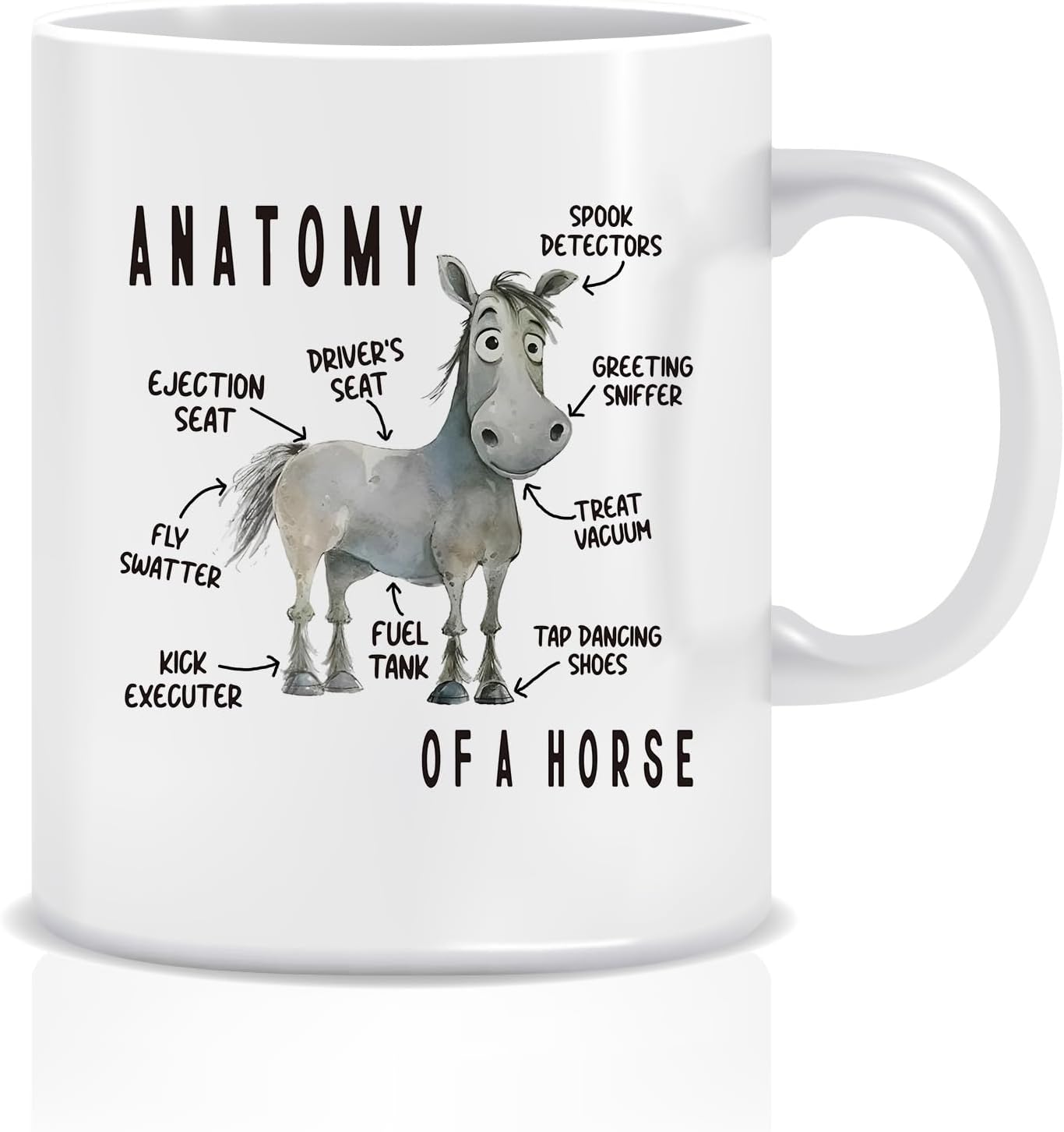 Funny Horse Anatomy Mug – Cute Cartoon Sarcastic Meme Graphic Birthday Present for Dad Mom, Equestrian Gift, Horse Lover Joke Mug