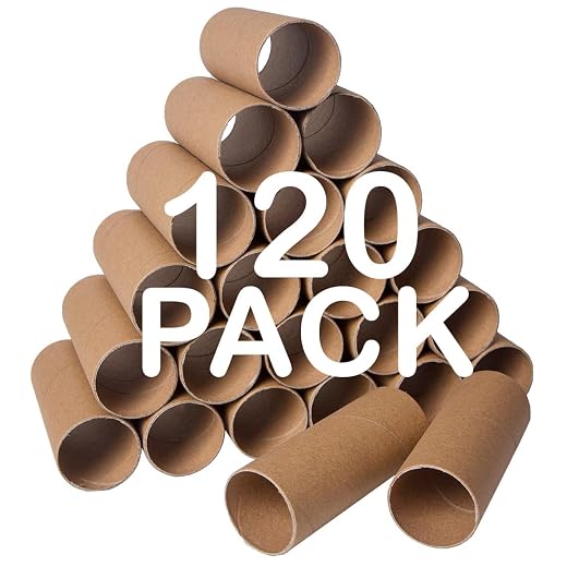 120 Pack Thick Cardboard Craft Tubes