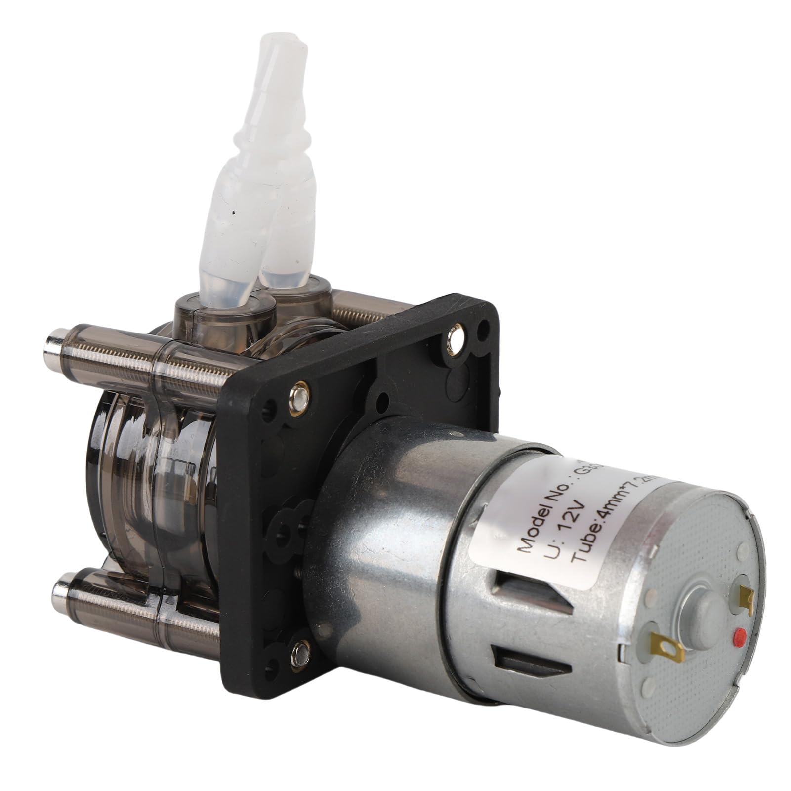 Generic Pompe Péristaltique, Conception Stable, Haut Débit, Moteur à Courant Continu 300 Ml/min, Pompe de Dosage de Liquide pour Aquarium en Acier Inoxydable (12V)