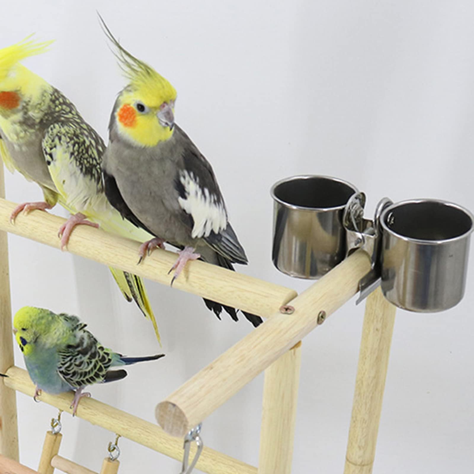 Spielständer Sitzstange Gym Vogel Gym Sittiche Spielzeug Vogelspielzeug Vogelkäfig Ständer Sitzstange Ständer Spielständer