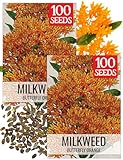 Seed Needs Orange Milkweed Seeds for Planting Butterfly Weed - Heirloom & Untreated Perennial Flower Seed to Grow a Monarch Butterfly Garden (2 Packs)