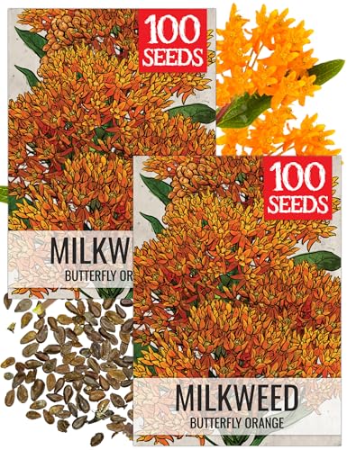 Image of Seed Needs Orange Butterfly Milkweed Seeds for Monarch Butterflies 2 Packs