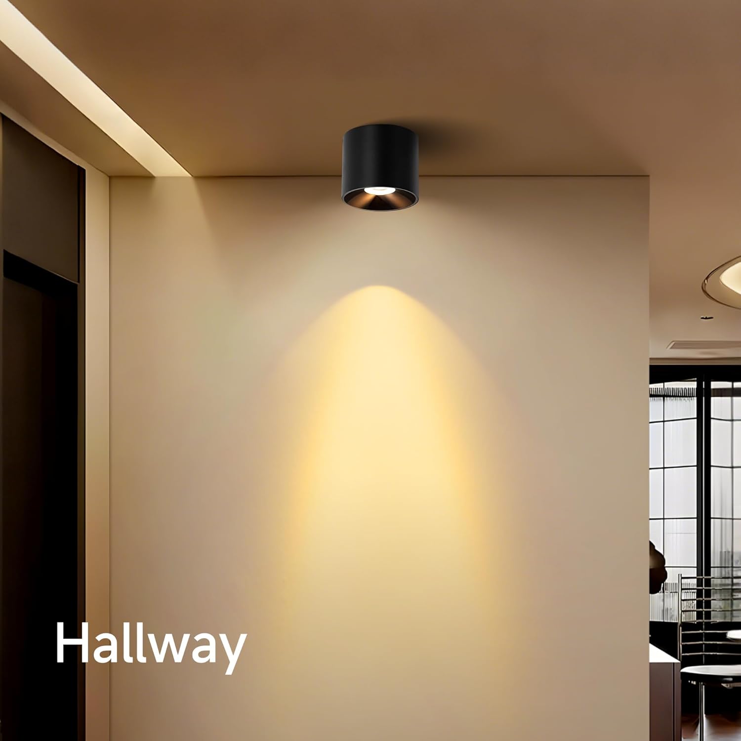 LED Ceiling Spotlight Indoor, Dimmable 15W 3CCT Ceiling Spot Lights Accent Down Lights for Gallery, Close to Ceiling Cylinder Light Fixture for Hallway Entryway Foyer Living Room (Black)