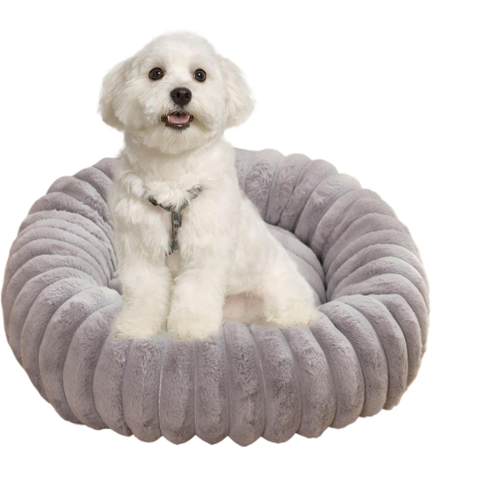 Canapé antidérapant pour chat et lit pour petit chien rond en peluche