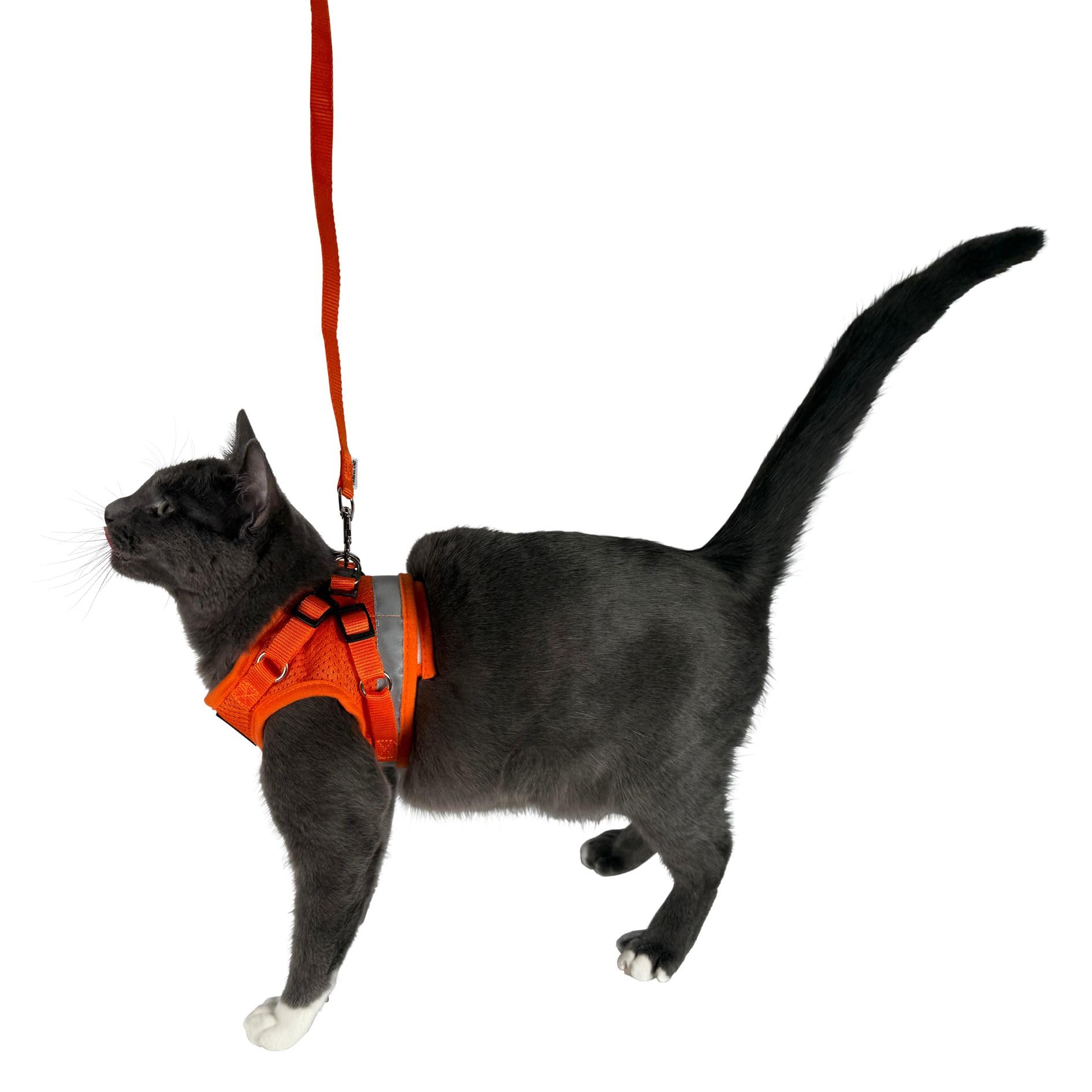 Travel Cat: The True Adventurer - Juego de arnés y correa reflectante para gatos y gatitos para caminar, ligero, transpirable, ajuste cómodo, correa fuerte con clip resistente a presión