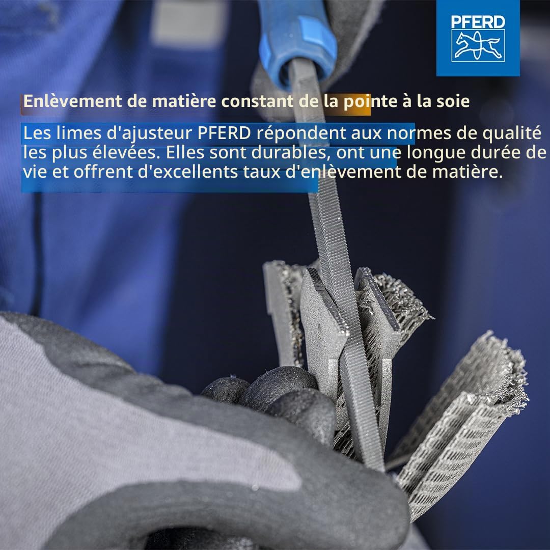 PFERD TOOLS Assortiment de limes d’atelier en étui PVC enroulable, 5 limes, taille croisée H2, 200 mm, 11800532 – pour travaux universels de dégrossissage et d’usinage de finition