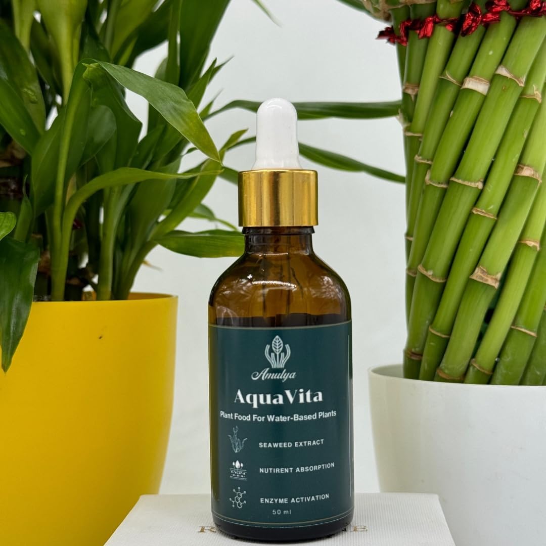 Amulya FARMS & NURSERY AquaVita | Organic Liquid Fertilizer for Lucky Bamboo, Money Plants & Indoor Plant Growing in Water | Fertilizers for Home Garden | Plant Food for Plants Rooting in Water (50ML)