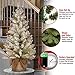 National Tree Company Pre-Lit Artificial Mini Christmas Tree, Green, Dunhill Fir, White Lights, Decorated with Pine Cones, Berry Clusters, Frosted Branches, Includes Cloth Bag Base, 3 Feet