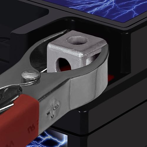 Miniatura 5 de Mighty Max Battery YTX4L-BS - Batería de repuesto para Parts Unlimited RT4L-BS + cargador de 12 V de 1 Amp