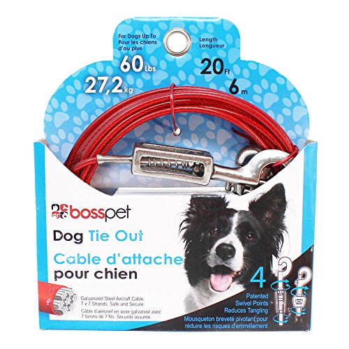 Large Dog Cable Tie-Out for Boss Pet Q3520 Spg 99