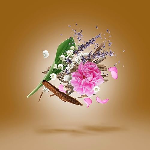 Miniatura 5 de Xerjoff Alejandría II