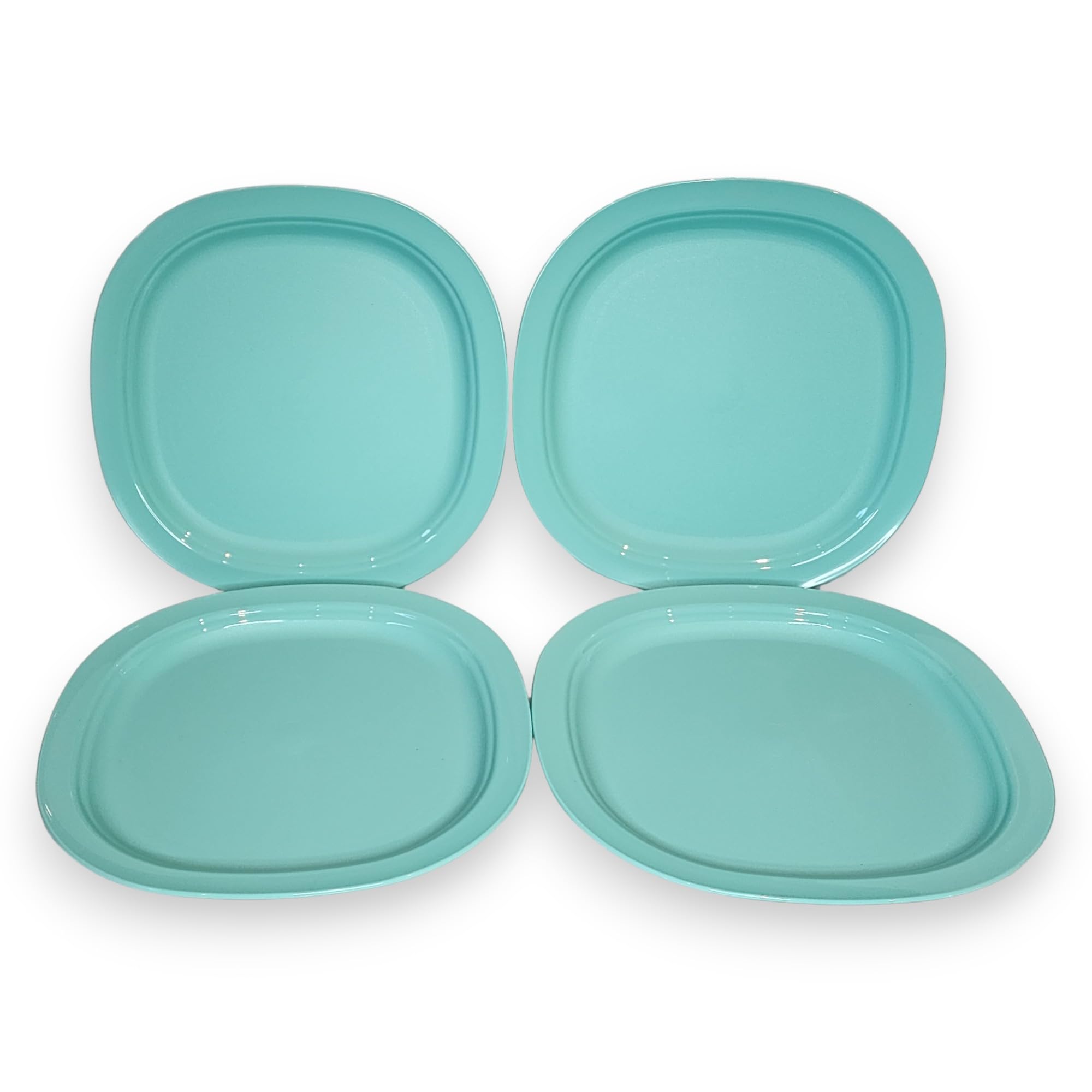 Amazon.com | Tupperware Microwave Reheatable Luncheon Plates 9.5
