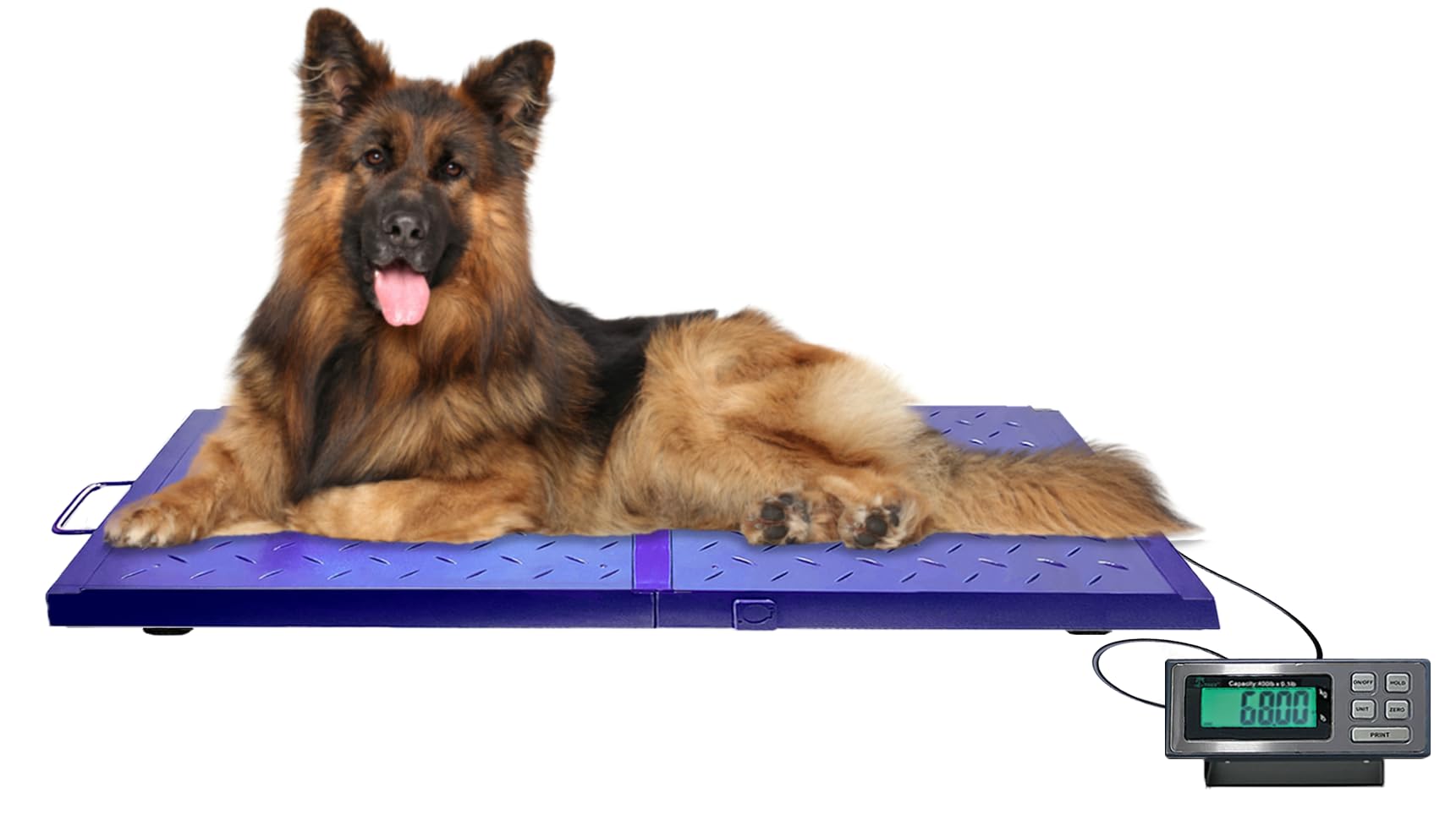 Tree LC-VS 400 Veterinary Scale, 400 LB Capacity, 0.1 LB Accuracy, Heavy-Duty Digital Livestock Weighing Scale with Anti-Slip Base and LCD Display