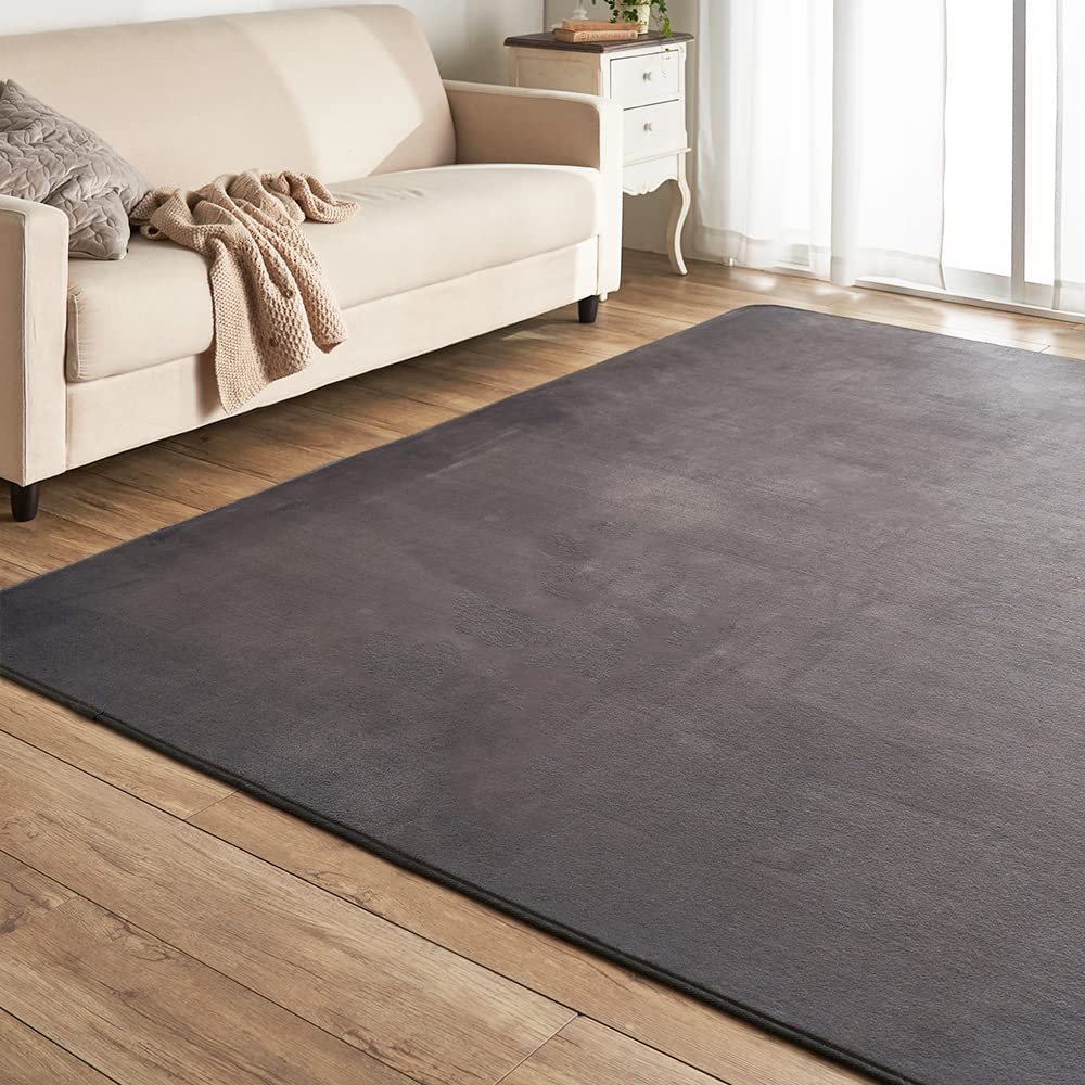 Amazon｜アイリスプラザ フランネルラグ ダークグレー 200×300㎝ 滑り