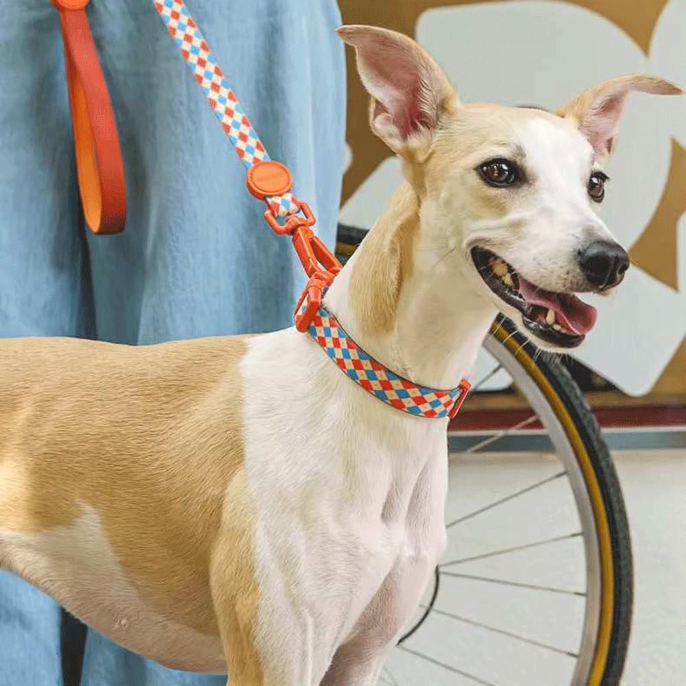 Arnés Ajustable para Perros - Chaleco Antitirones | Incluye Collar Y Correa A Juego - Mecanismo De Liberación Rápida | Adecuado para Perros Pequeños Y Medianos(M)