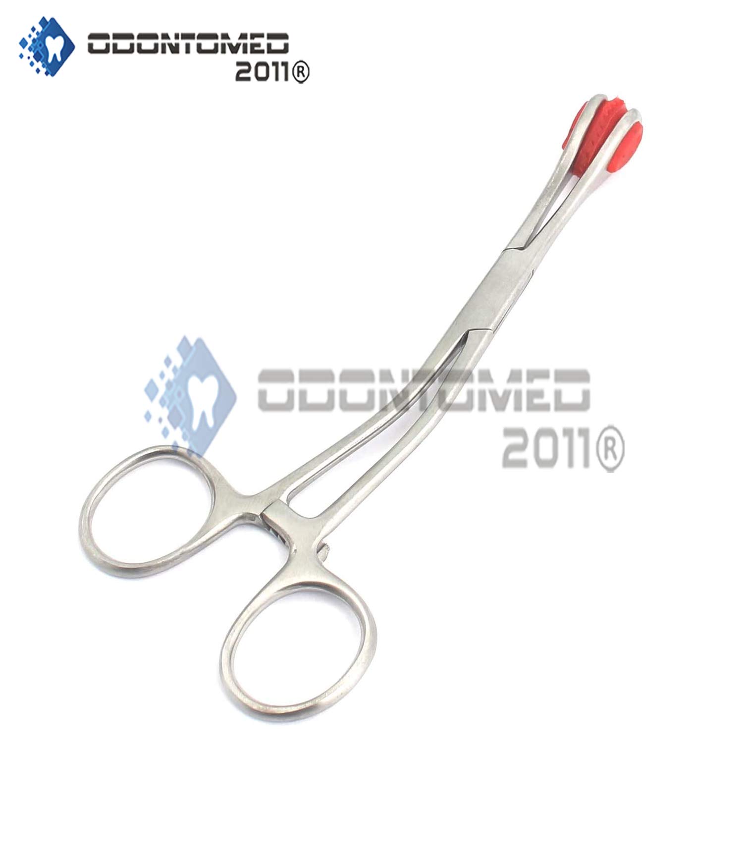 Young Tongue Forceps - 6.5" Stainless Steel -2