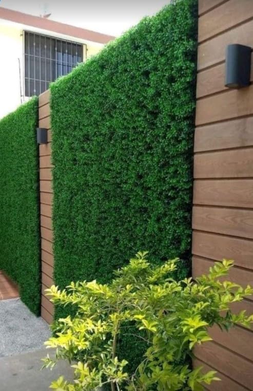 Listado de Muro verde artificial - los preferidos. 21 Imagen adicional