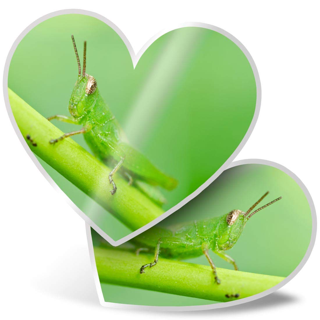 2 x Heart Stickers 7.5 cm - Green Grasshopper Bug Fun Decals for Laptops,Tablets,Luggage,Scrap Booking,Fridges, #14128