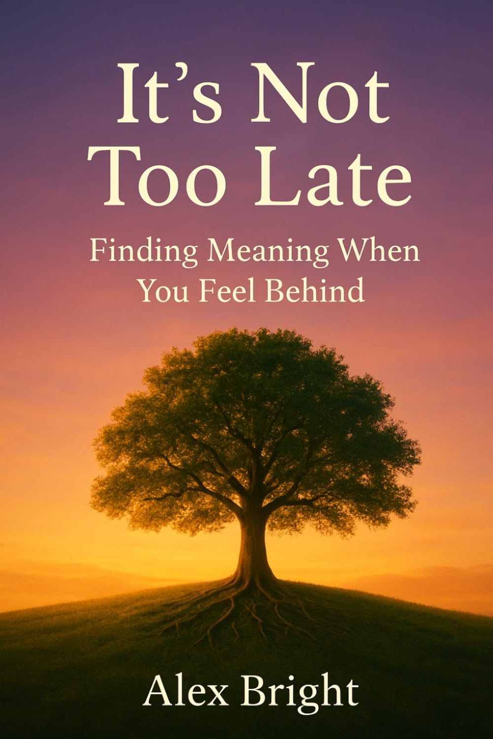 It’s Not Too Late: Finding Meaning When You Feel Behind: Your Guide to Self-Acceptance After 30
