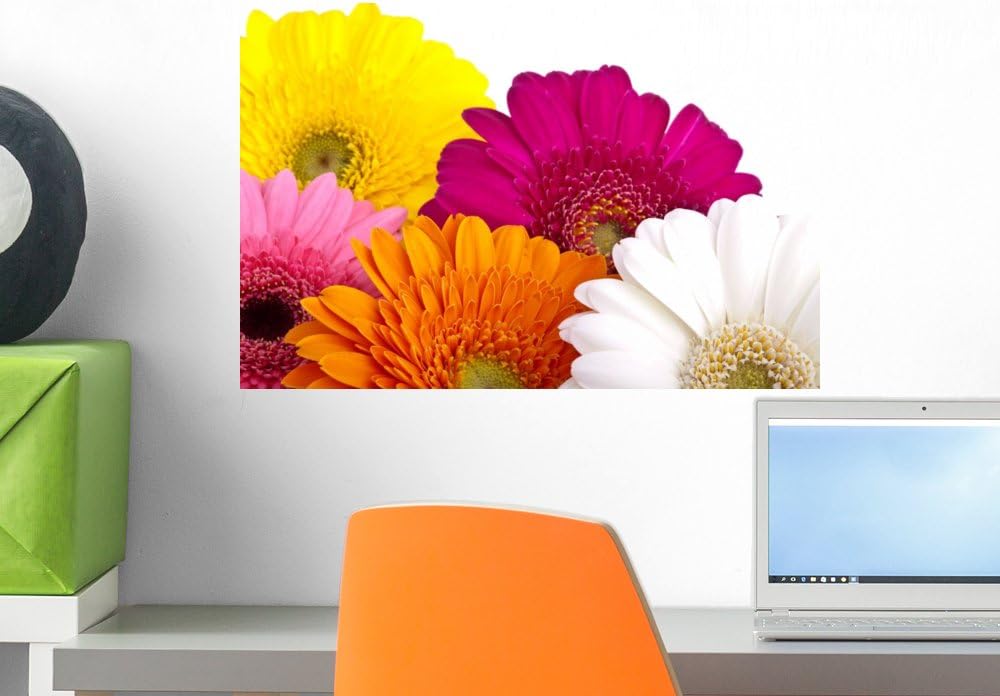 Wallmonkeys Gerber Daisies Wall Decal Peel and Stick Floral Graphic (18 in W x 12 in H) WM158160
