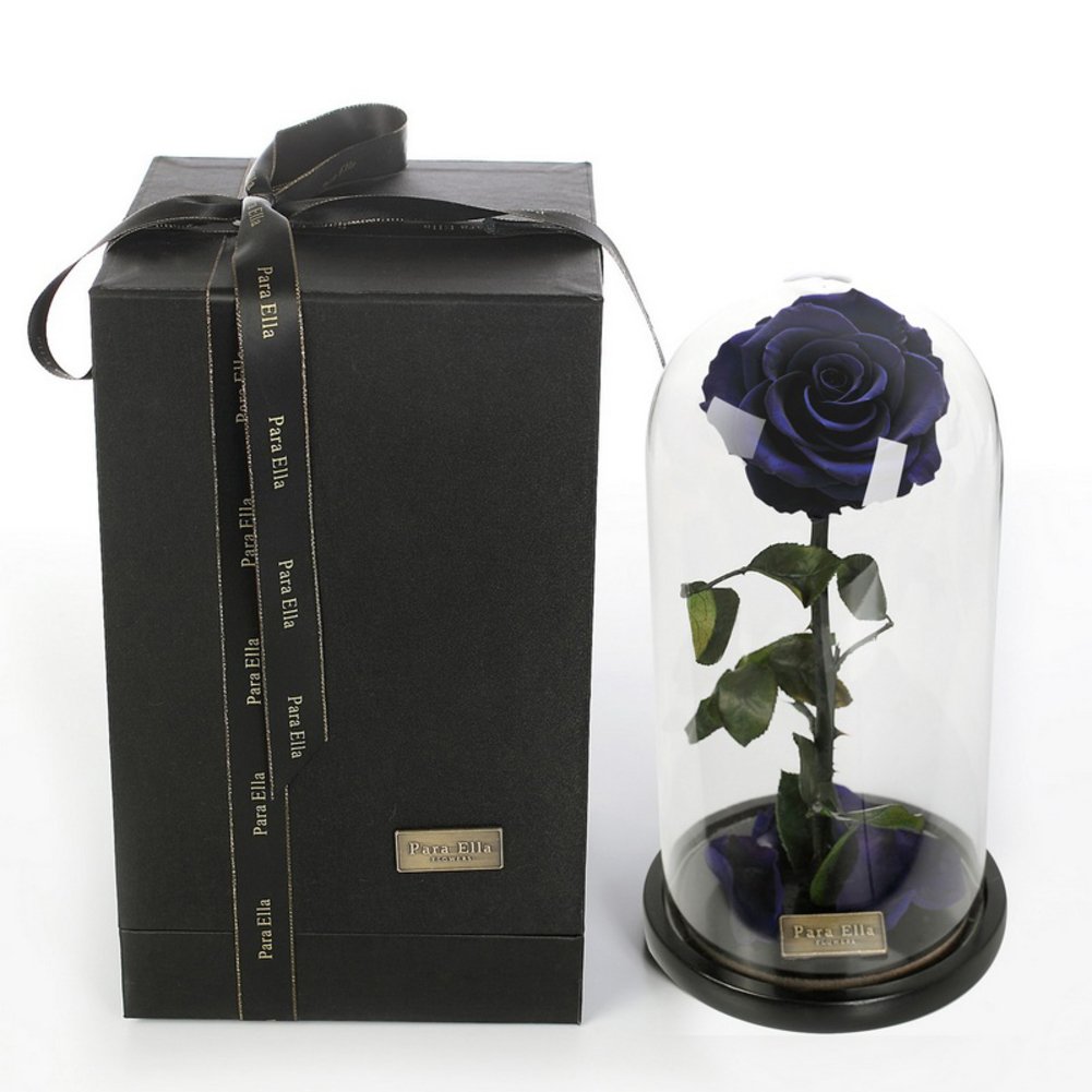 Fleur Immortelle Géante sous Boîte en Verre et Décoration de Noël Bleu Marine