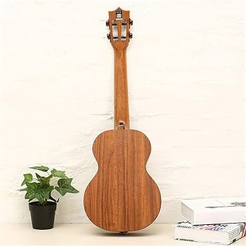 カーボン製アコースティックギター 31aG3Wu5fsL._UF350,350_QL50_.jpg