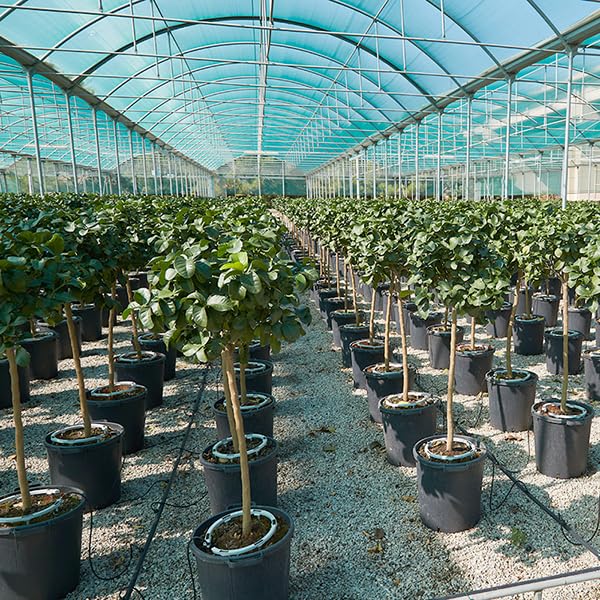 10 Pack - Premium Hevy Duty Drip Irrigation Watering Ring for 1/8" .125 Inch Tubing, Halo, Circle, Great for Greenhouse & Commercial Grower Applications (5" Diameter Ring, 10) by One Stop Outdoor - Used condition - Image 2