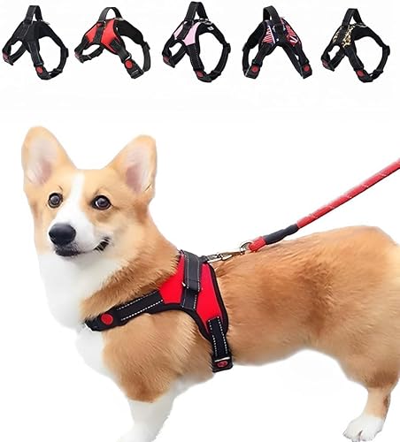 犬 ハーネス かわいい おしゃれ 胴輪 散歩 小型犬 中型犬 大型犬 猫 首輪 ソフト ナイロン製 夜間反射 PetGround (S, レッド)