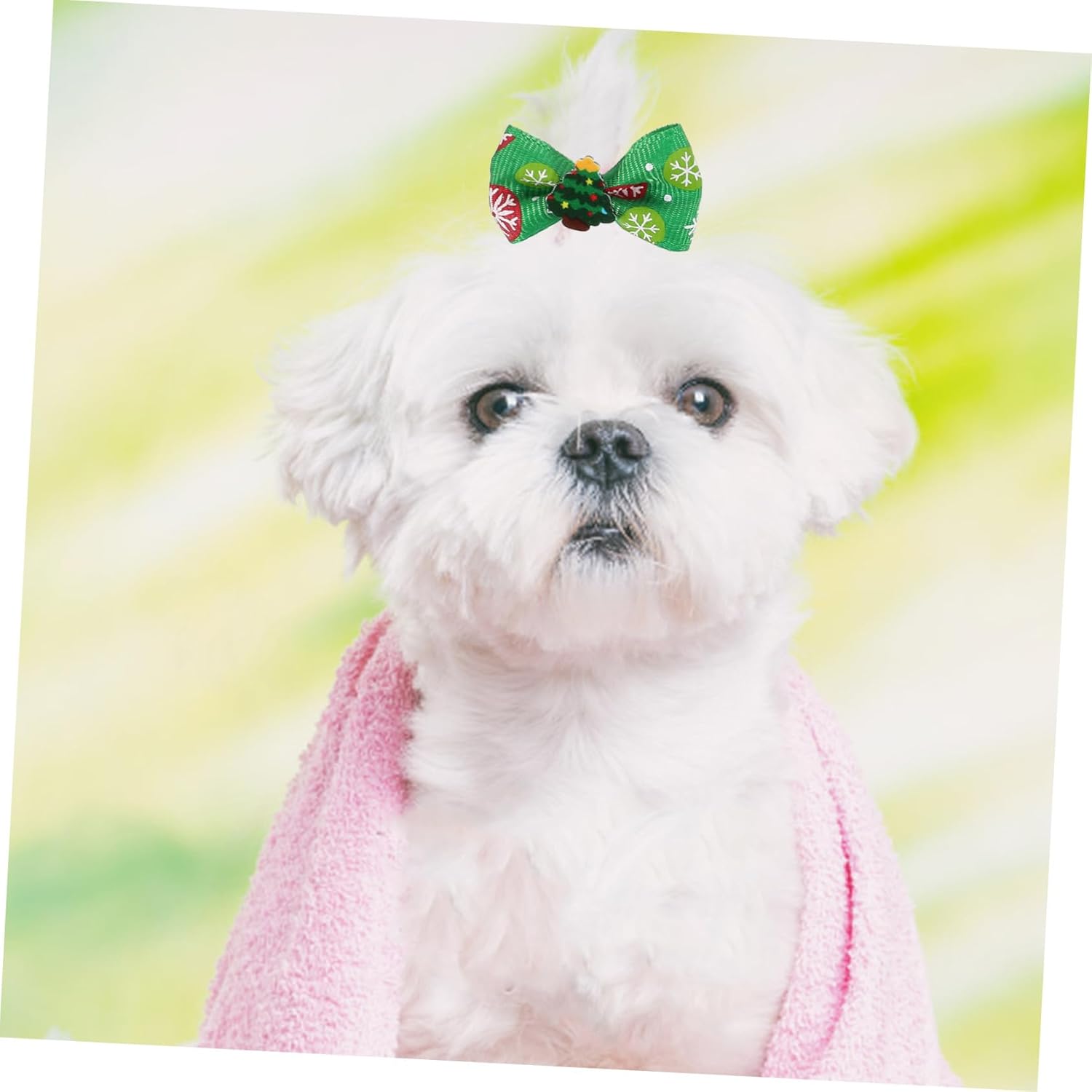 Christmas Pet Hair Ties 50 Pieces with Elastic Band Dog Hair Bows Small Holiday Accessories for Dogs and Puppies Random Design 8