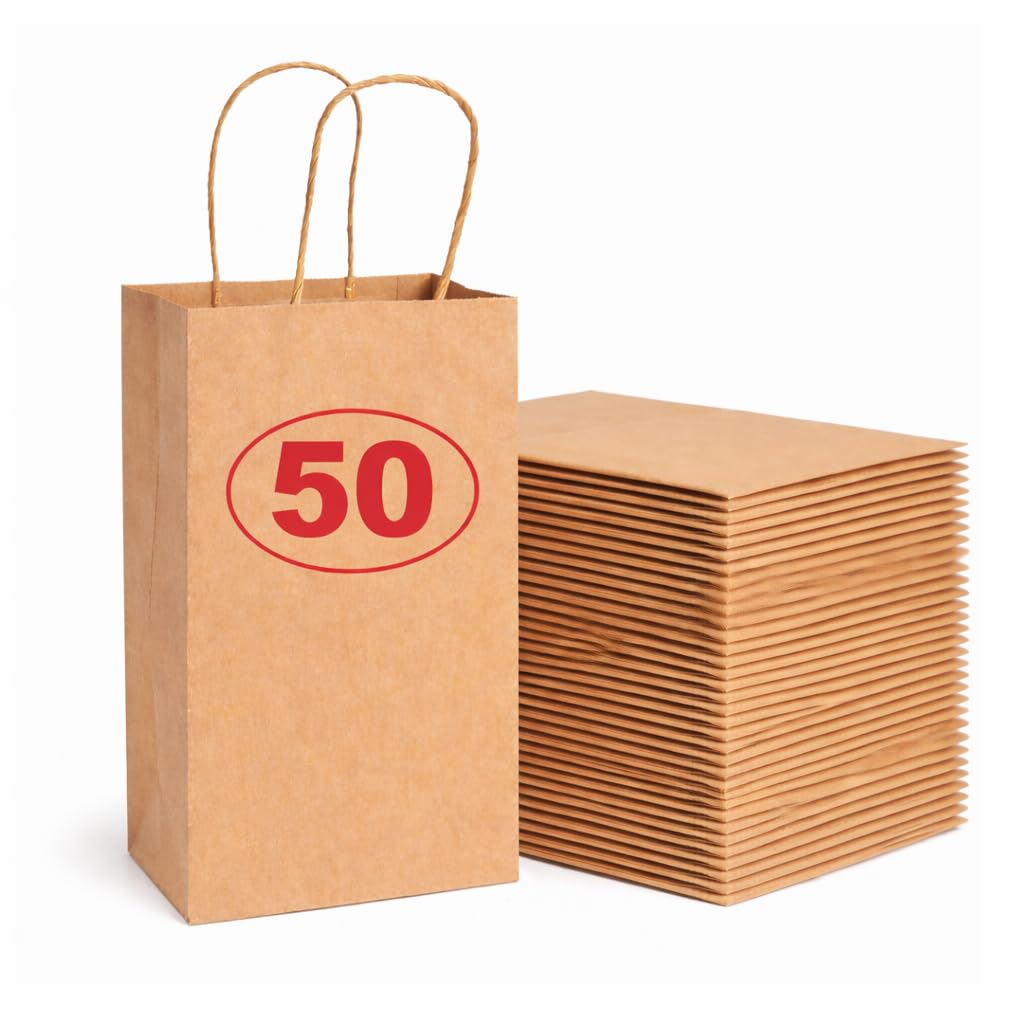 VEZODEK Pack of 10 Paper Bags with Handle 24 x 20 x 8 cm, It Can Be Used Like Popcorn Bags, Kraft Paper, Gift Bags Children's Birthday, Sandwich Bags, Bread Bags, Party Bags (50 Brown)