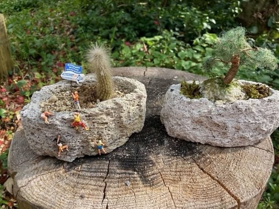 【天然自然石・石鉢・コケ鉢・寄せ植え鉢・盆栽鉢】庭石オブジェ置物ガーデニング造園 天然自然石・石鉢・コケ鉢・寄せ植え鉢・盆栽鉢】庭石オブジェ