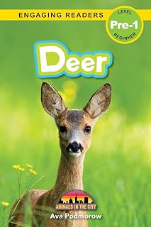 Deer: Animals in the City (Engaging Readers, Level Pre-1)