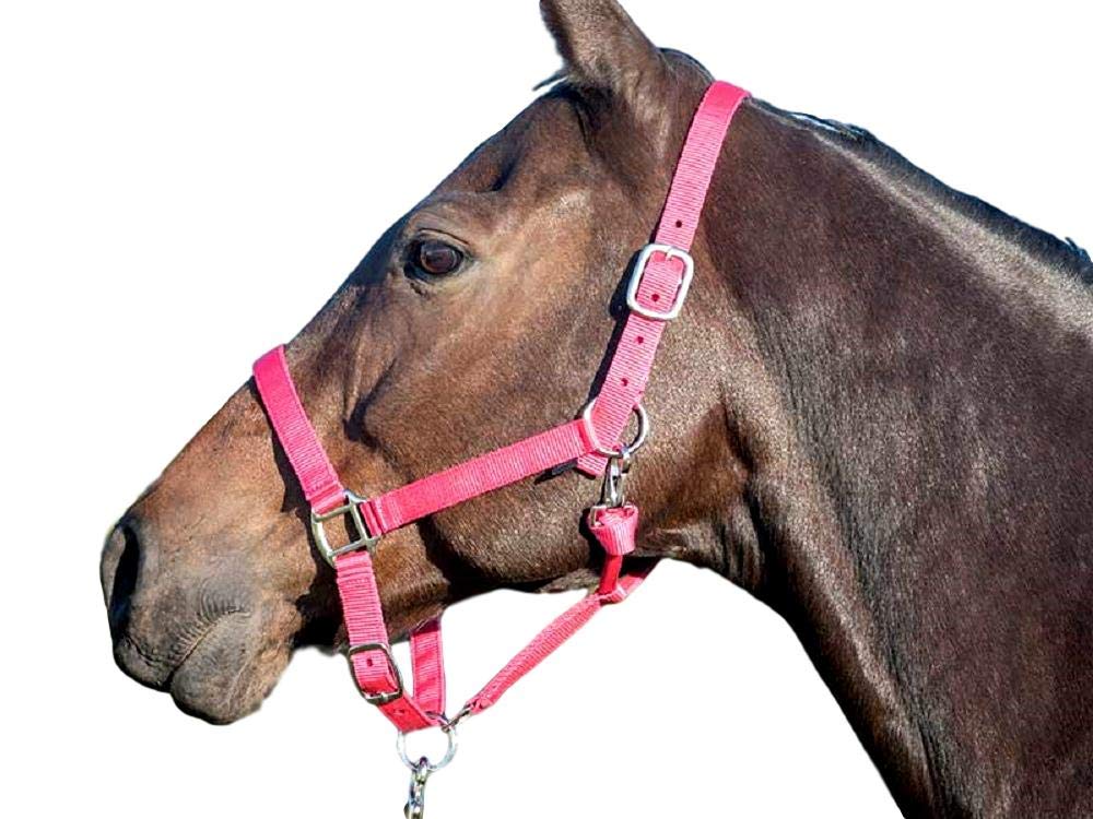 Lami-Cell Equi-Sky East Coast Halter