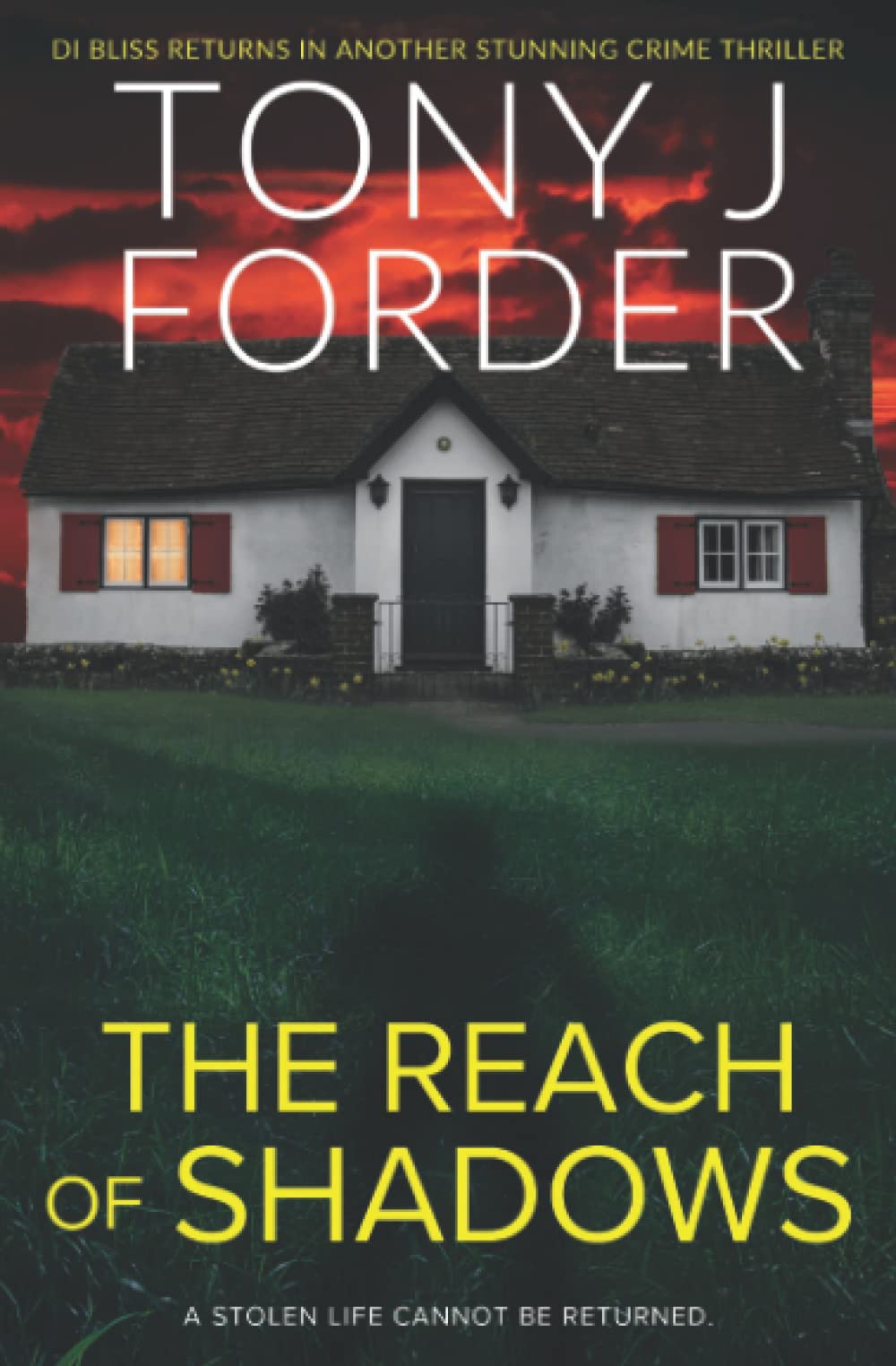 The Reach of Shadows (The DI Jimmy Bliss Crime Series)