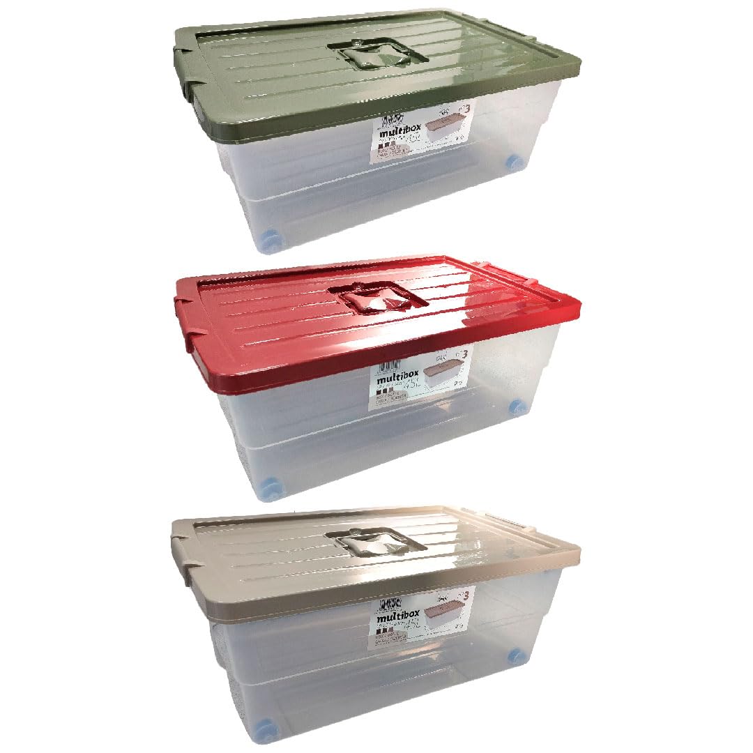 Acan Tradineur - Confezione da 2 Scatole di Stoccaggio con Ruote e Coperchio Colorati - Plastica - Contenitore, per Giocattoli, Libri, Abbigliamento, Coperte - 45 litri - 59 x 39 x 23 cm - Coperchio