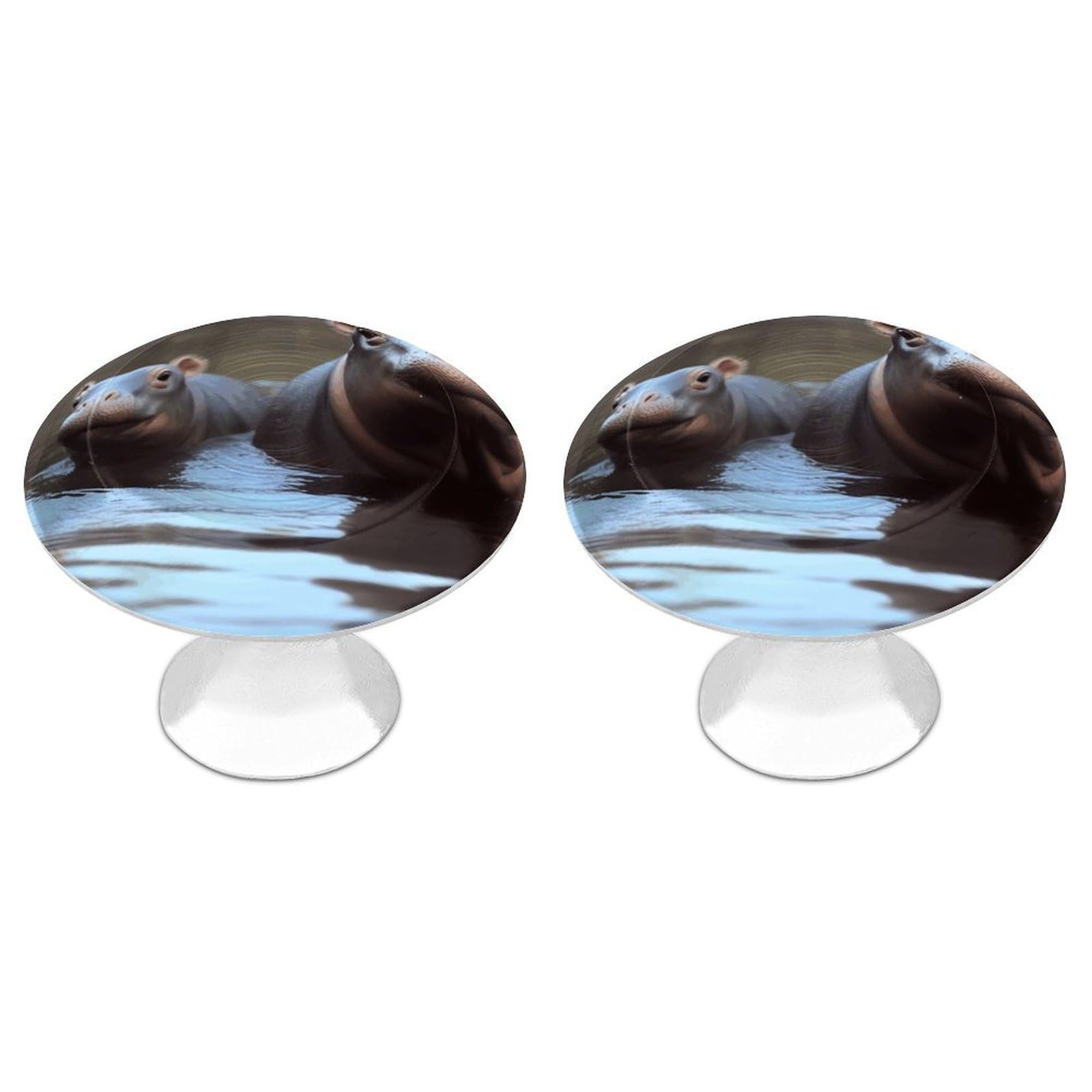 Vstadank Style Hippos Drawer Pulls Sturdy Stainless Steel Door Handle Round Cabinet Knobs Fashion Dresser Drawer Knobs Door Pulls Exquisite Cabinet Handles Furniture Pull 2Pcs