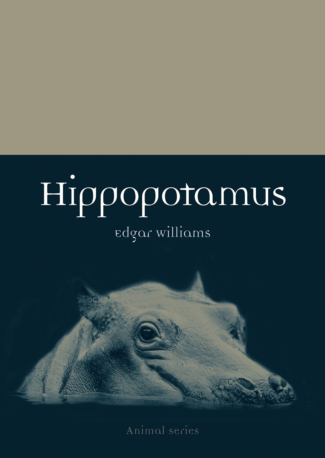 Hippopotamus (Animal),Mark Williams