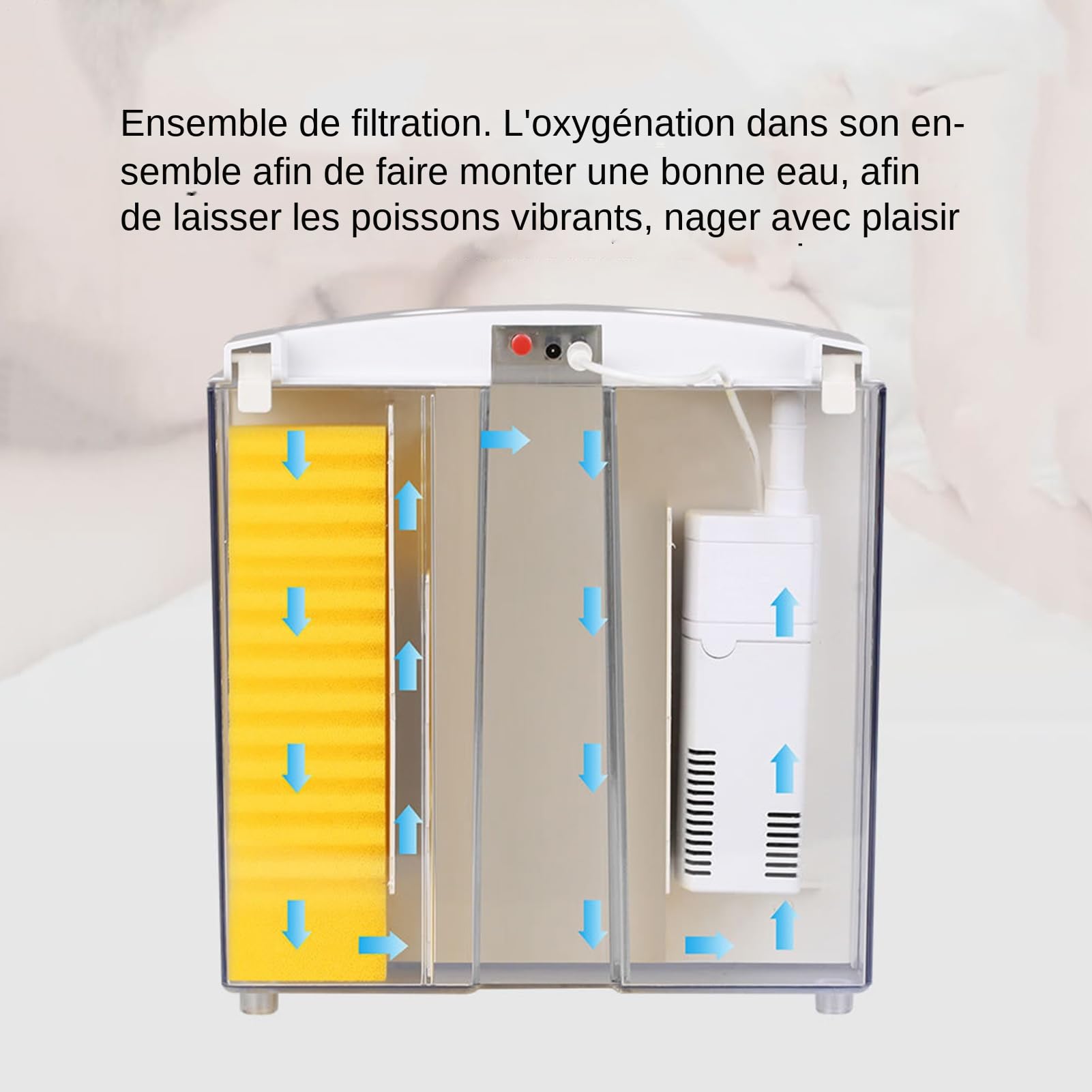 Petit Aquarium avec Filtre et lumière - réservoir en Acrylique USB, Habitat de Poisson Transparent | 7.87x5.51x8.27 Pouces 5L Aquarium pompé Compact avec, Configuration Moderne pour Betta, Min