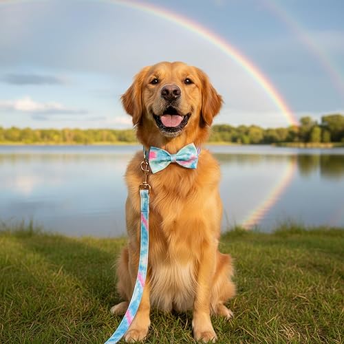 Miniatura 163 de PETDURO Collar de perro personalizado con nombre y teléfono grabado en hebilla de metal – Personalizado para perros medianos y grandes – Impresiones