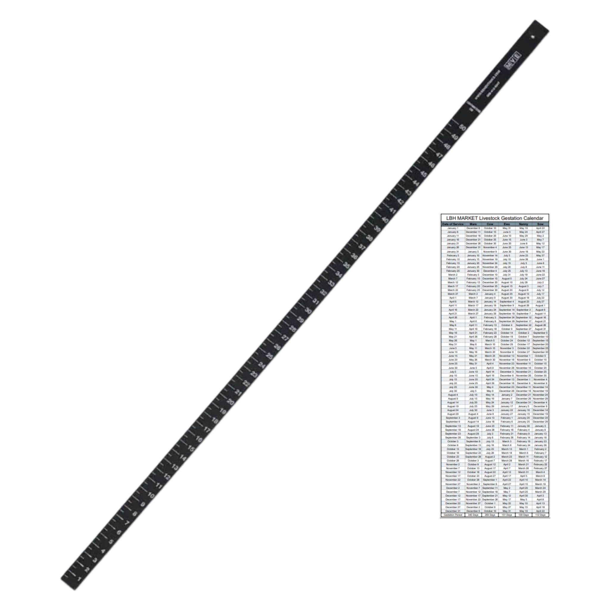 LBH MARKET Liquid Nitrogen Ruler/Liquid Nitrogen Measuring Stick, 1-50 cm (24 in), with Livestock Gestation Calendar Bundled