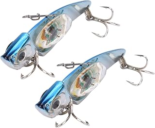 LED Fishing Lure Light 2PCS High Brightness LED Underwater Fish Attractor with 200 Hours Long Lasting Battery for Saltwater Freshwater Fishing