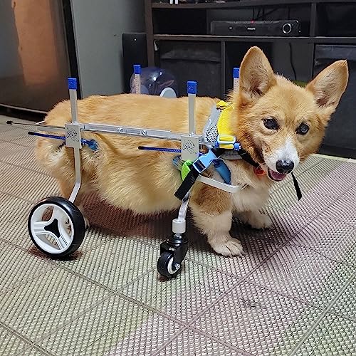 Chariot de mobilité pour chien à 4 roues déambulateur assisté animaux de toute taille