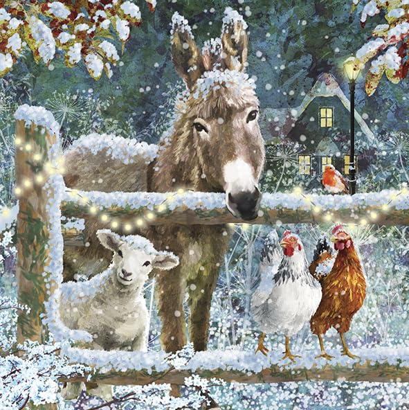 Noel Tatt Charity Christmas Cards Pack of 10 - Festive Donkeys & Farm Animals in the Snow - Assorted Premium Greeting Cards Multipack with Envelopes - 5 Each of 2 Designs - Supporting UK Charities
