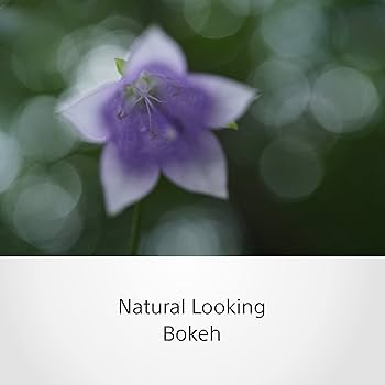 SONY - SONY Eマウント SEL50M28 Amazon.com : Sony SEL50M28 FE 50mm F2.8 Full Frame E-mount