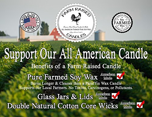 Farm Raised Candles 8541862065 Fall Spice 16 Ounces Variety 5 Pack Usa Made Wax Melts thumb #7