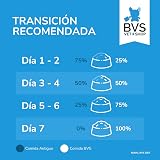 Ver la foto 6