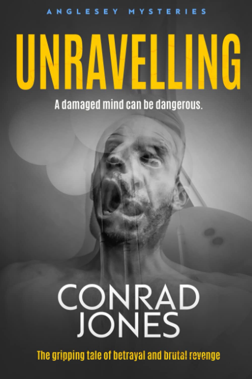 Unravelling: A Damaged Mind can be Dangerous: 9 (The Anglesey Murders)