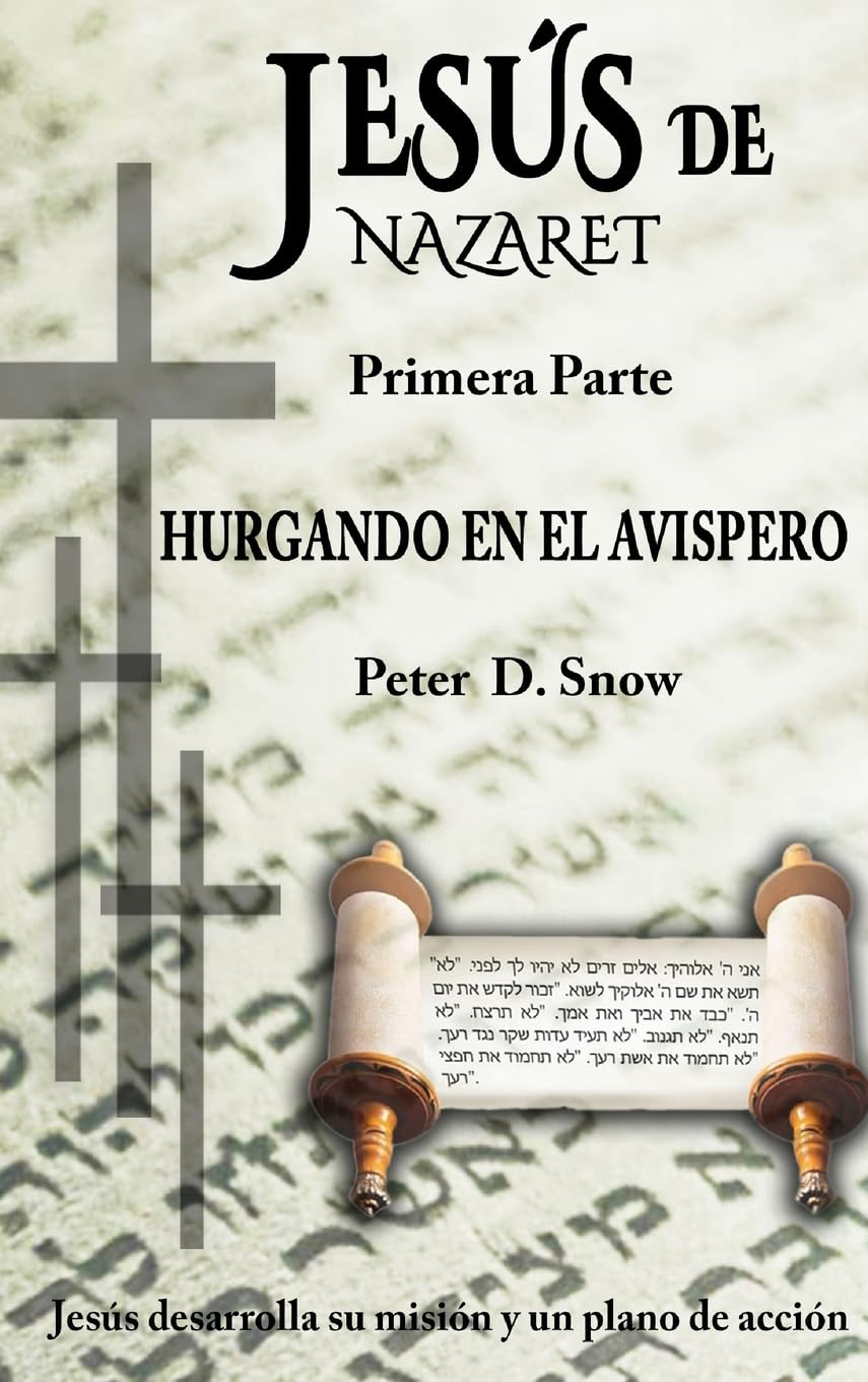 JESÚS DE NAZARET: HURGANDO EN EL AVISPERO